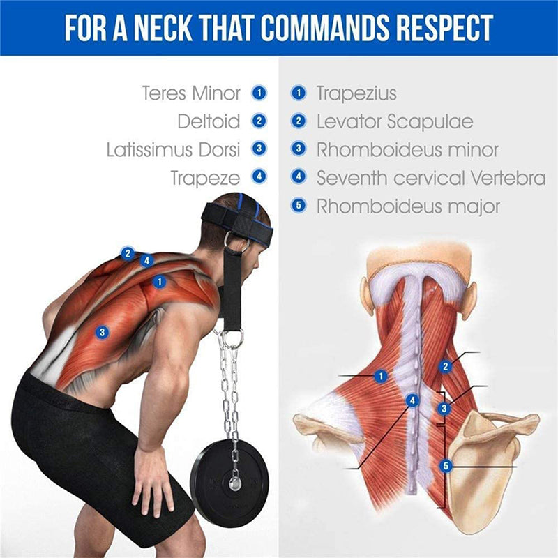 Premium Neck Training Harness for Strength & Muscle Power - Adjustable Head & Neck Weight Lifting Strap - Gym Fitness 
